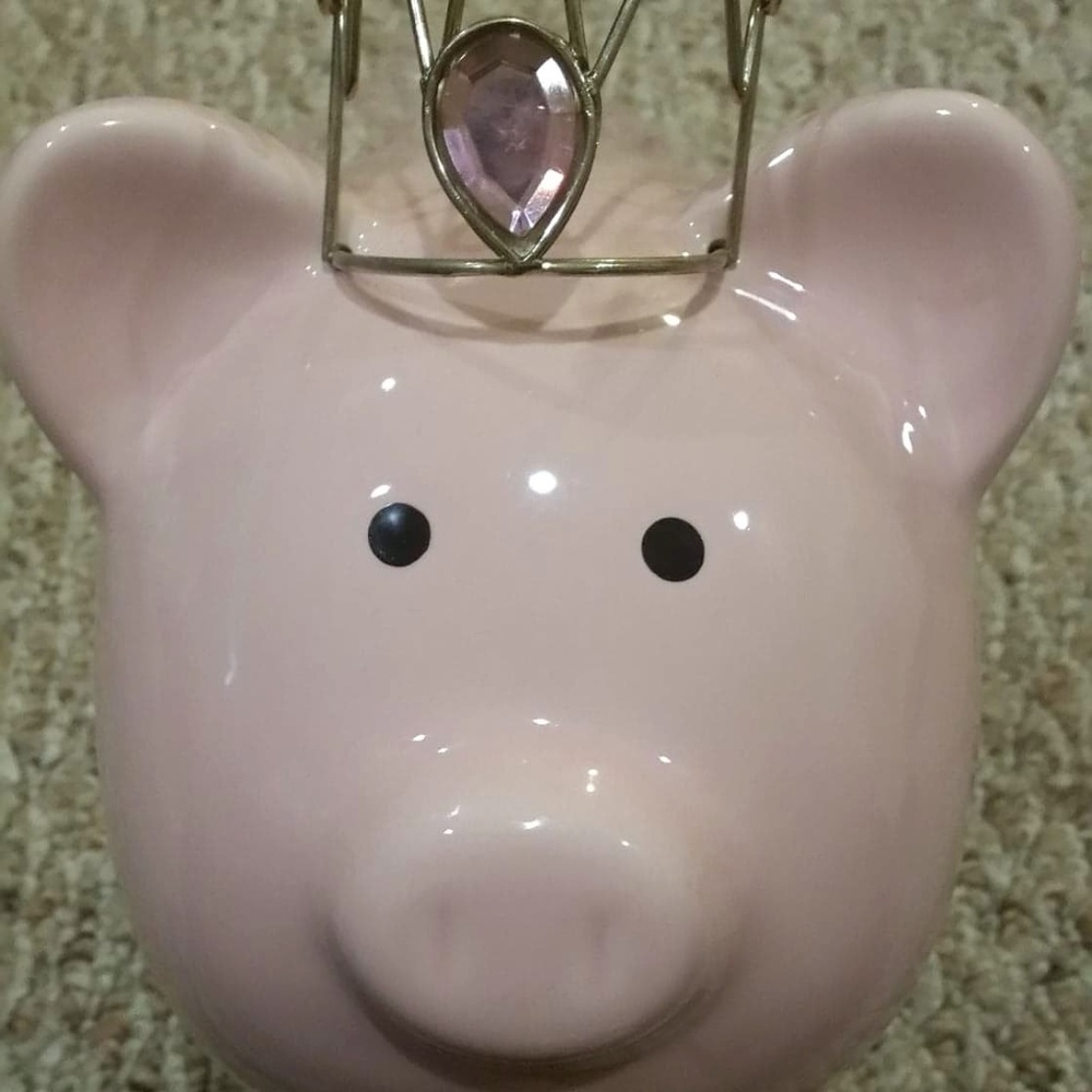 NEW Pink Pig Piggy Bank